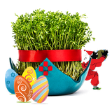 ir.azaaaarr.paintkids