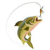 com.w2d79b1447950929c30599d8dacf90445