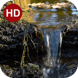 ir.hmh.PeaceLiveWallpaper_32_free