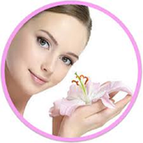 ir.bronze.kardane.post.d