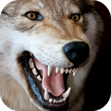 com.leafgreen.predator