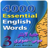 zh.snowman.sm_4000_b3