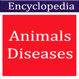 com.droidmedic.animalsdiseases