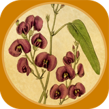 ir.tinasoft.tales_steady.masnavi_manavi