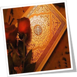 com.senator.marriage