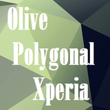 com.olivepolygonal.reza