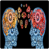 com.hamed.psychology