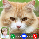 fakevideocall.catfakevideocall.fakecallcatgame.fakevideocallcat