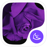 com.apusapps.theme.i_purple_flower_4e40c727b0