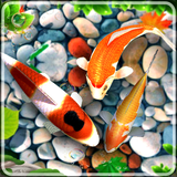 com.fishwallpapers.koipond.livewallpaper.fishes.android