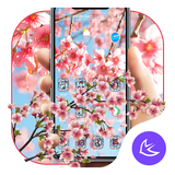 com.apusapps.theme.i_cherry_blossoms_cffc697015