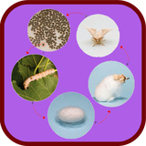 ir.tinasoft.khodamooz_oloom_dovvom