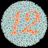 com.vaughnweb.colortest