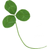 com.elhaghi.omid.fallshabdar