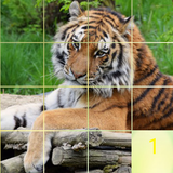 com.pazelapp.multipuzzle