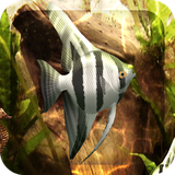 com.xw.art.freshaquarium3d