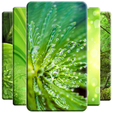 com.andromo.dev672710.app686985