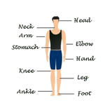 com.max.HumanBodyFacts