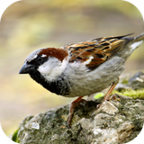 com.andromo.dev230101.app308797