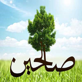rh.shajareh.tayebehsalehin