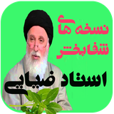 zenderood.nosakh.book