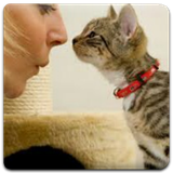 com.venusroid.ajayeb