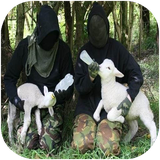 tehran.hoghughejaanevaraan