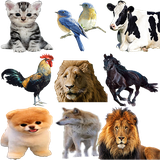 com.canapp.hayvanatsesleri