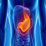 com.faghragha.soft.govarsh