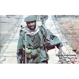 shahidpormoghadam.example