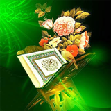 ir.hanihomayon.quran1