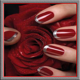 sekandari.app.dizaynnakhon