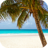 com.andromo.dev230101.app306154