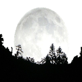 com.ah313mad.pishavar