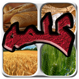 ir.Tardigrade.ChaharOYek