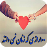 ir.arzanikamran.zarzanan