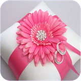 max.tazeenataghdoaroosi