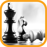 ir.tinasoft.chess_basics