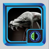 com.TheMostVenomousSnakeintheWorld.BaktiCreative