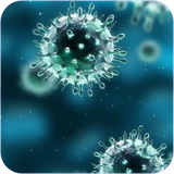 ghah.bimarihayevirusi