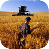 parvaz.keshavarzivashilat