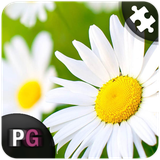 com.persiagraph.puzzroid2016.flowers