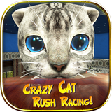 com.hgamesartworks.crazycat