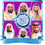 net.andromo.queeenyiced.dev