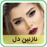 com.parsa.nazanindel