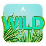 co.madseven.launcher.theme.wild