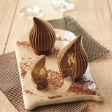 ir.ziba.deserfaransavi