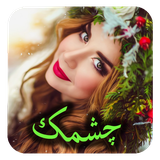 com.roman.cheshmak12