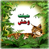 animal.mohsen.az