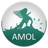 com.hamgardi.AmolGardi